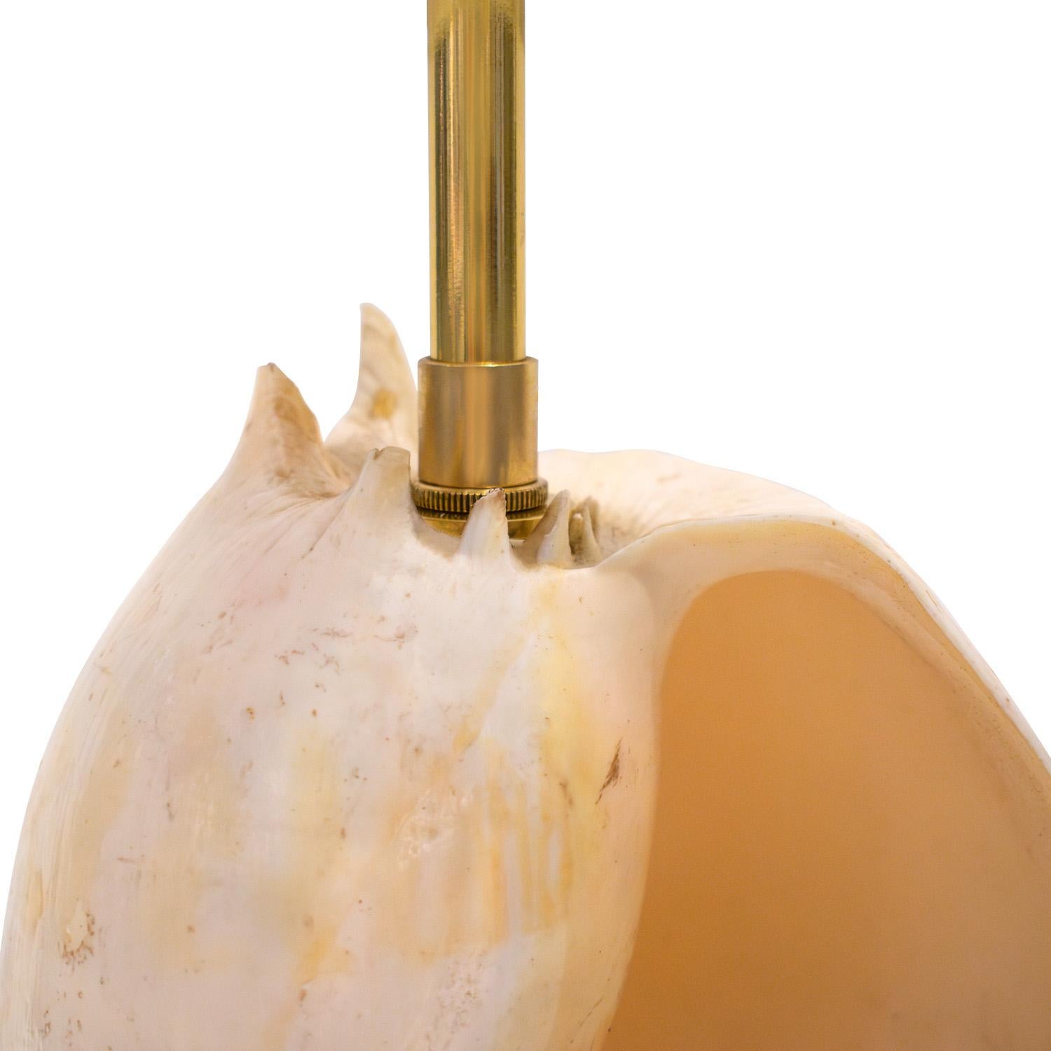 Chic, handwerklich montierte Muschel-Tischlampe mit Lucite-Sockel, 1970er Jahre (Handgefertigt) im Angebot