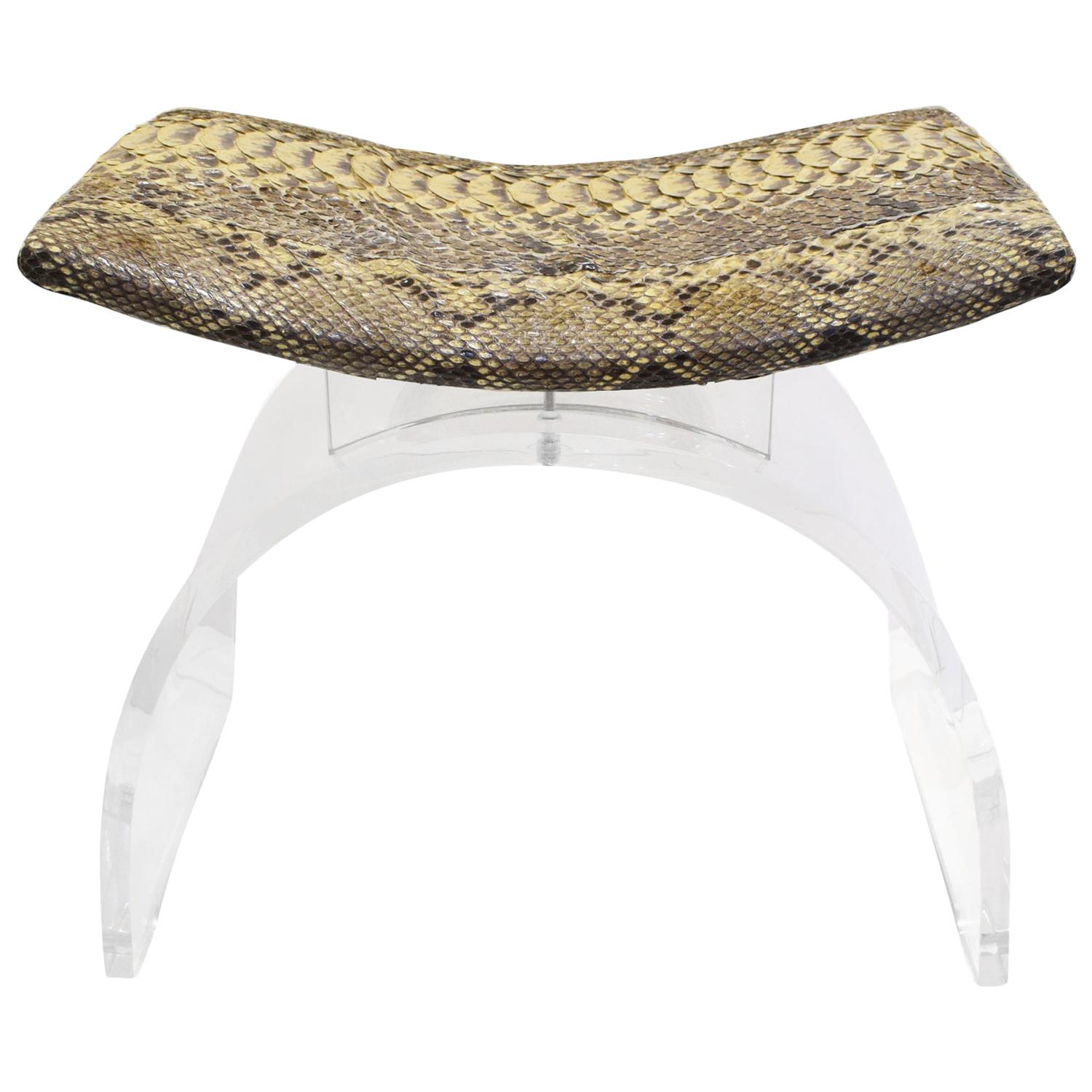 Chic Bench in Lucite with Python Seat, 1970s