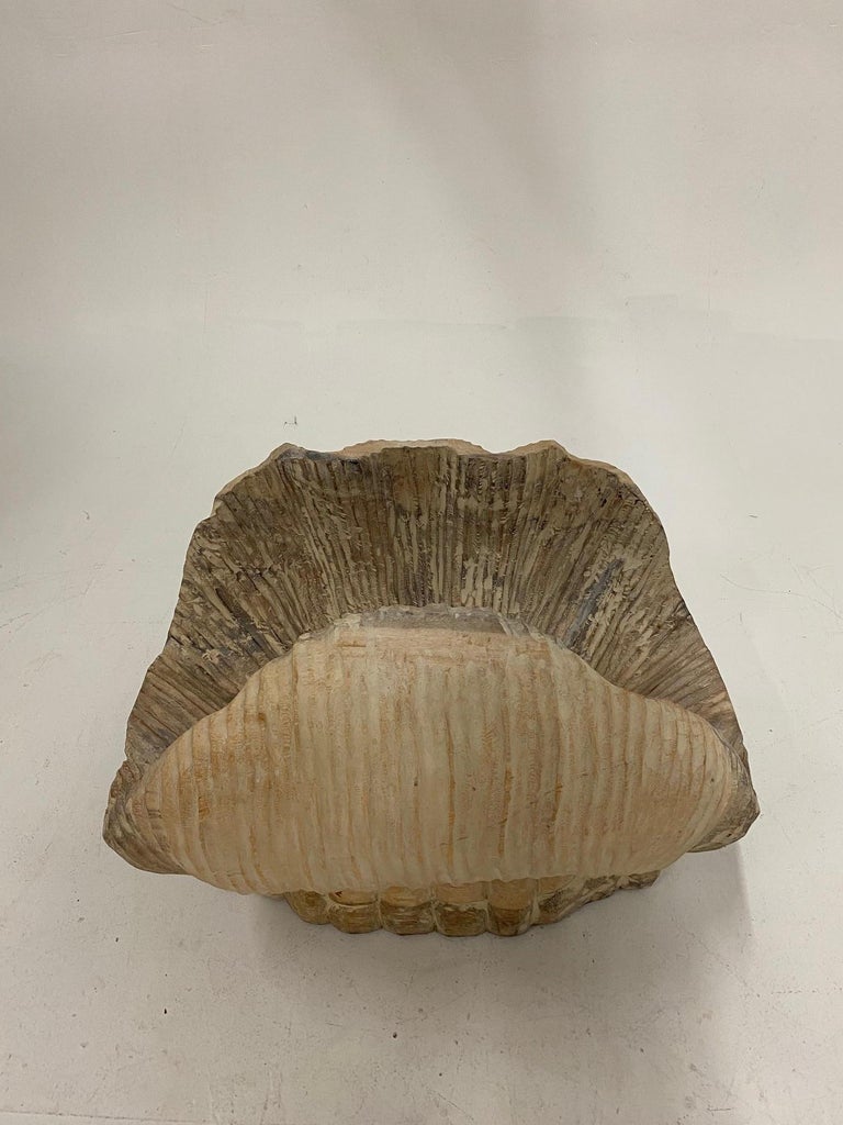 Chic Italian Carved Wood Shell Base Coffee Table with Round Glass Top ...