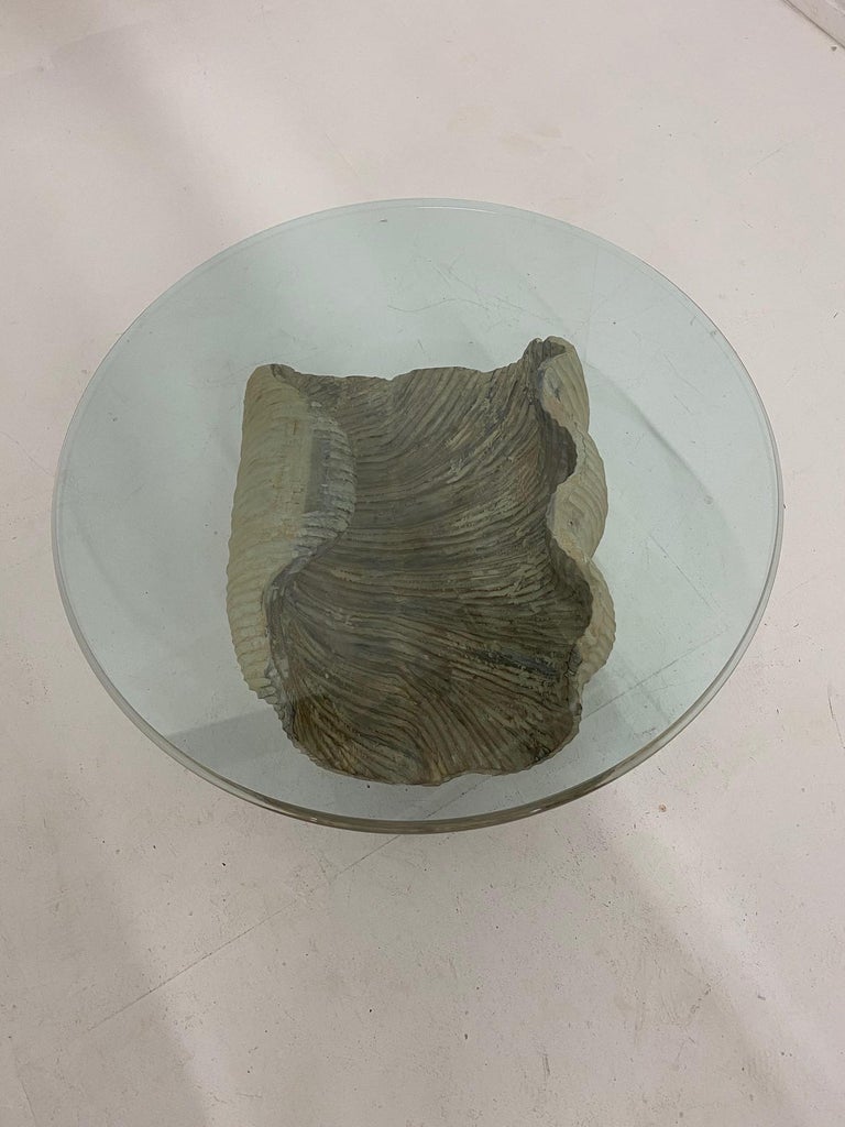 Chic Italian Carved Wood Shell Base Coffee Table with Round Glass Top ...