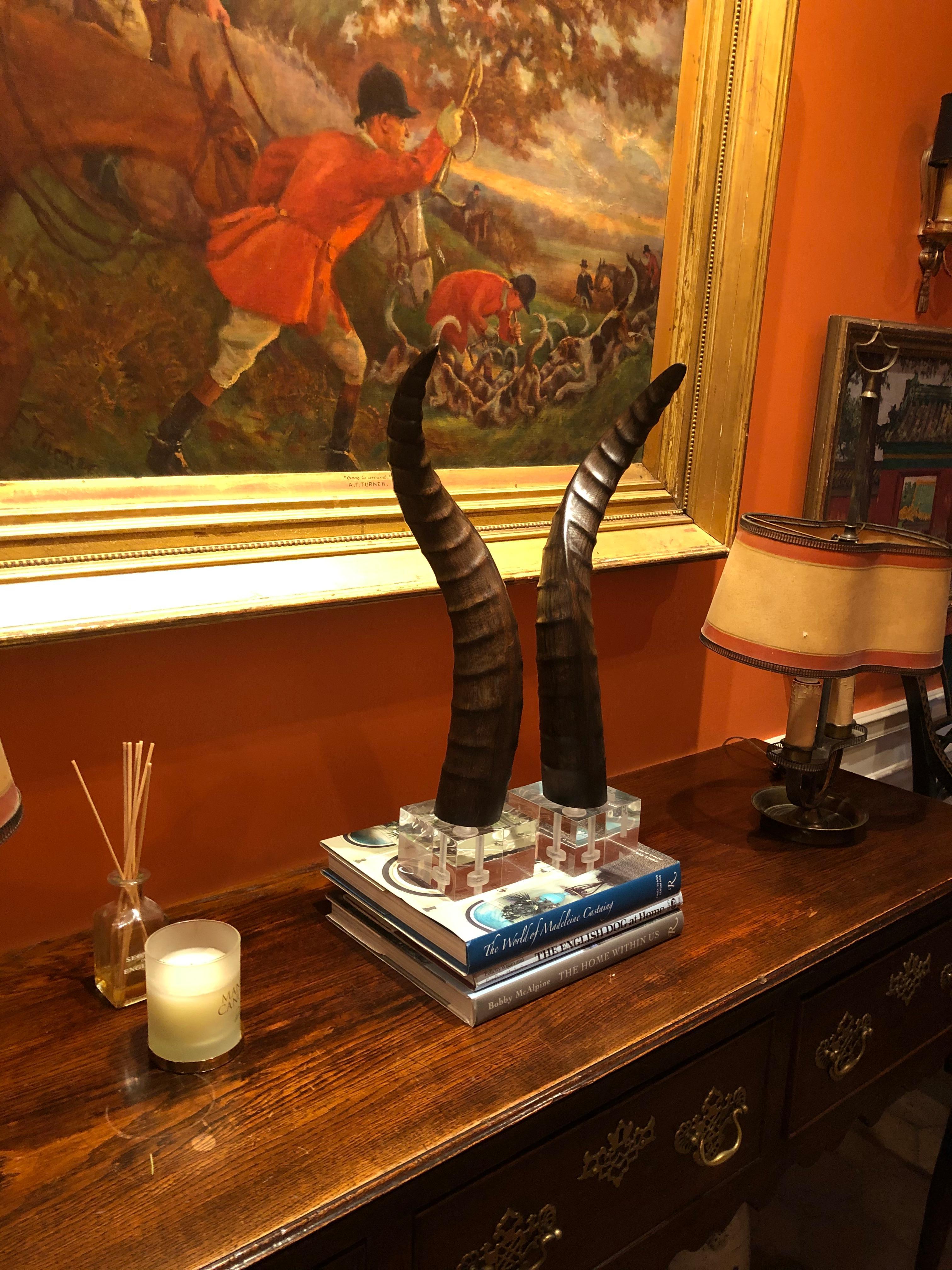 Handsome pair of faux horns mounted on Lucite bases. Made of plaster, horns are hand painted to replicate real horn.