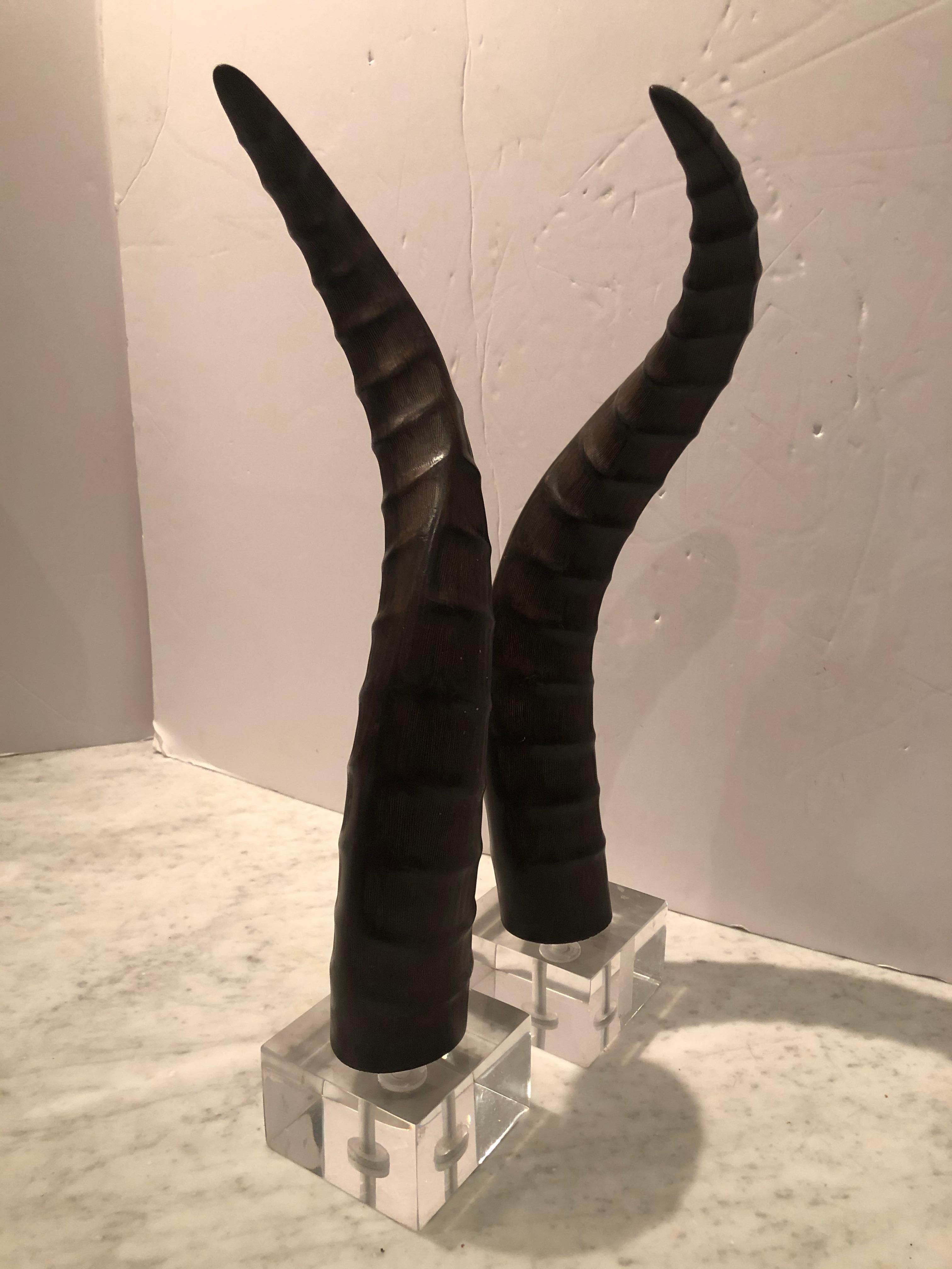 Chic Paar Kunsthorne auf Lucite-Sockeln (amerikanisch) im Angebot