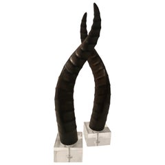 Chic Pair of Faux Horns on Lucite Bases