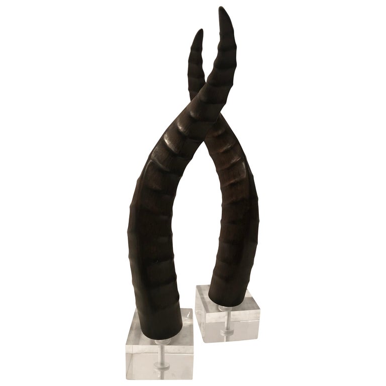 Cornes De Direction Décoratives En Corne Montées Sur Blocs Lucite - Longueur 32 Cm - Occasion
