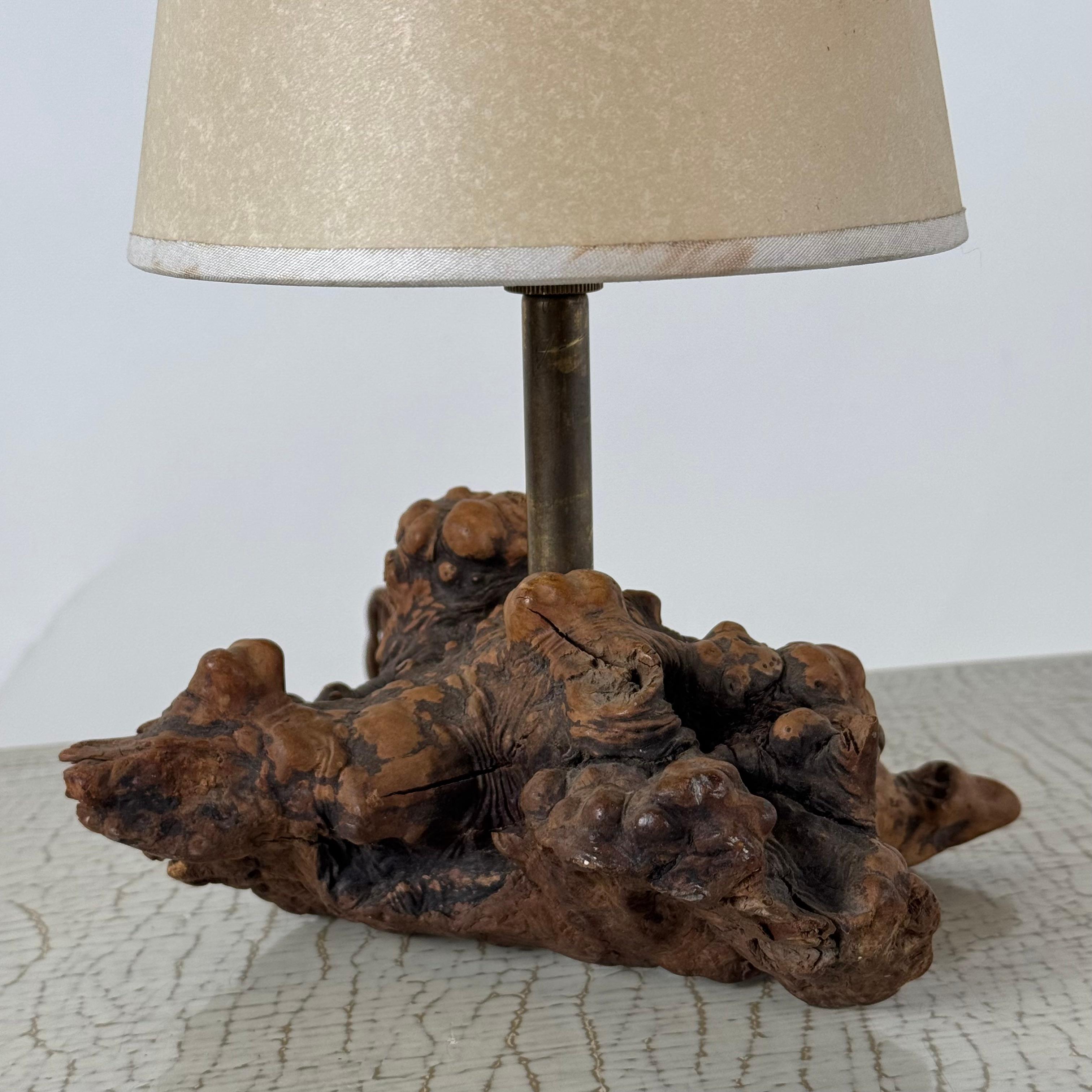 Chic Small Burl Wood Desk Lamp with Custom Parchment Paper Shade In Excellent Condition For Sale In Los Angeles, CA