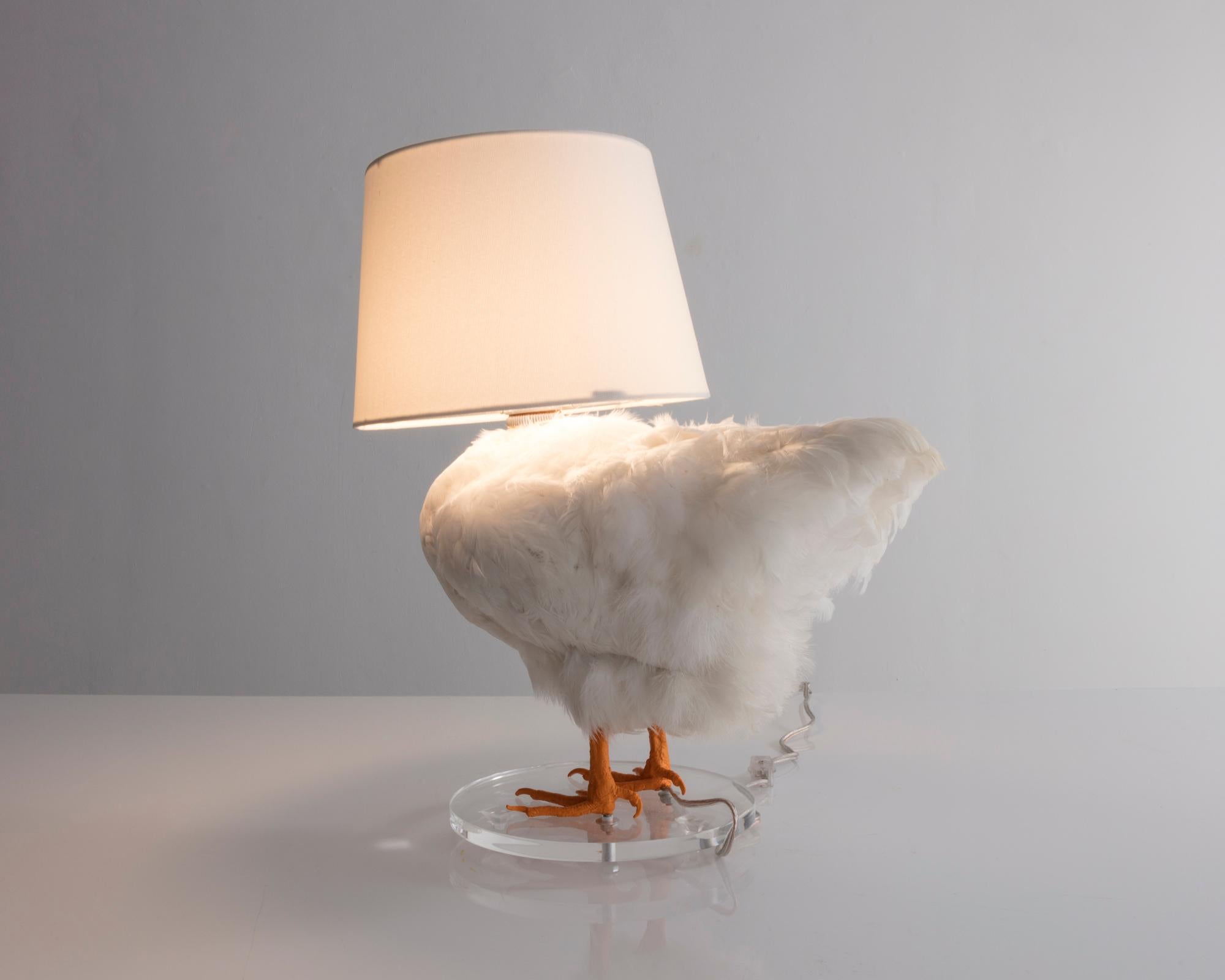 taxidermy chicken lamp