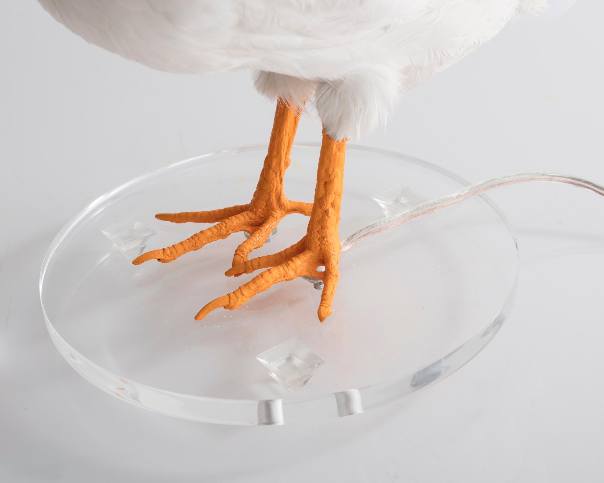 taxidermy chicken egg lamp
