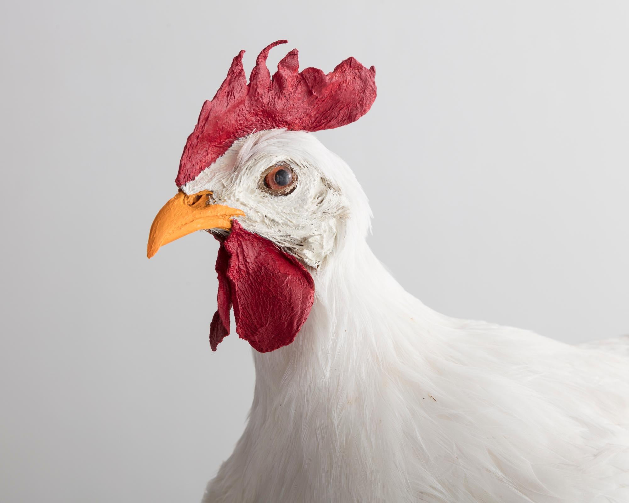 chicken table lamp