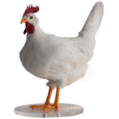 "Chicken Lamp" by Sebastian Errazuriz
