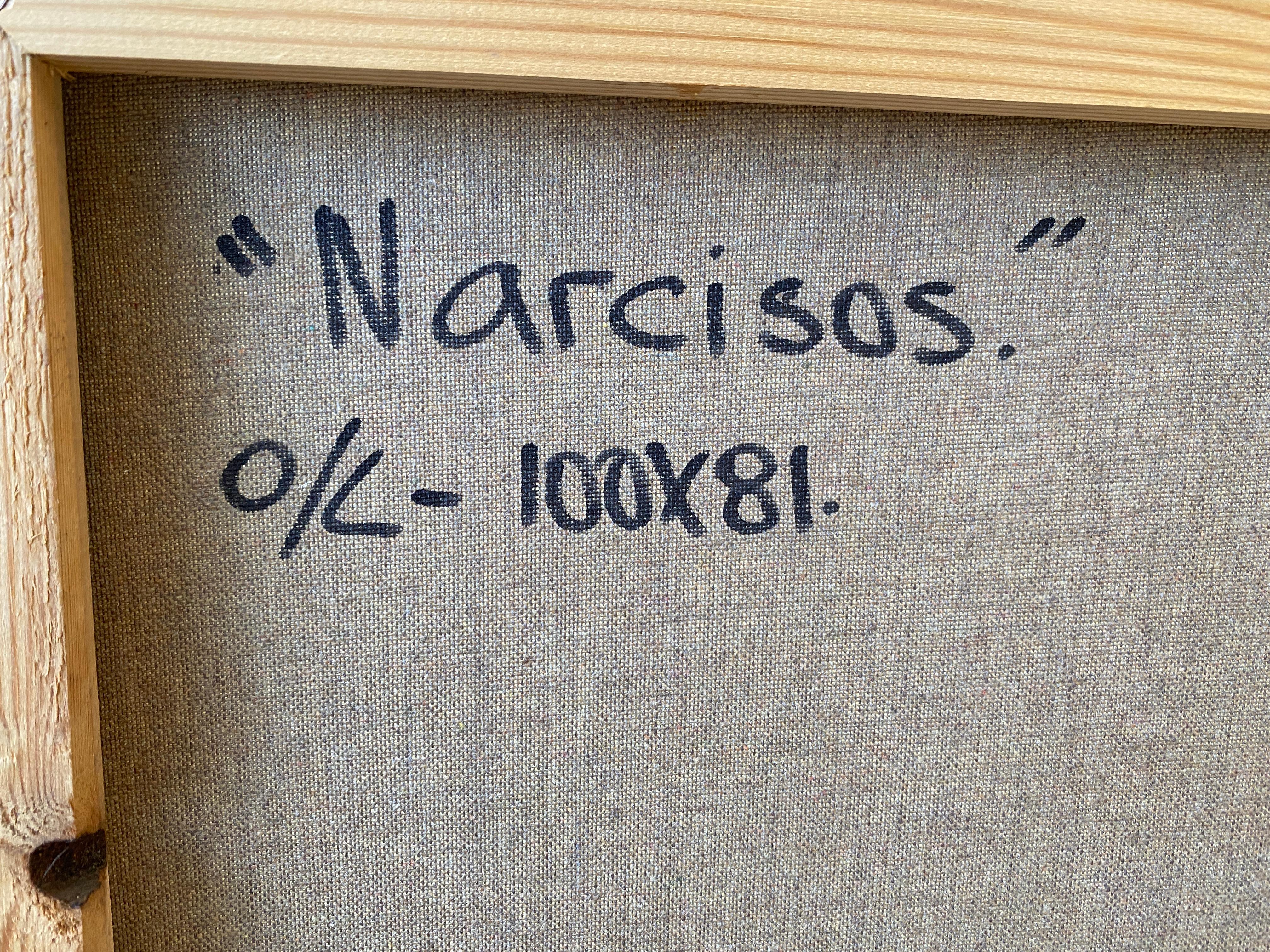Narcisos im Angebot 8