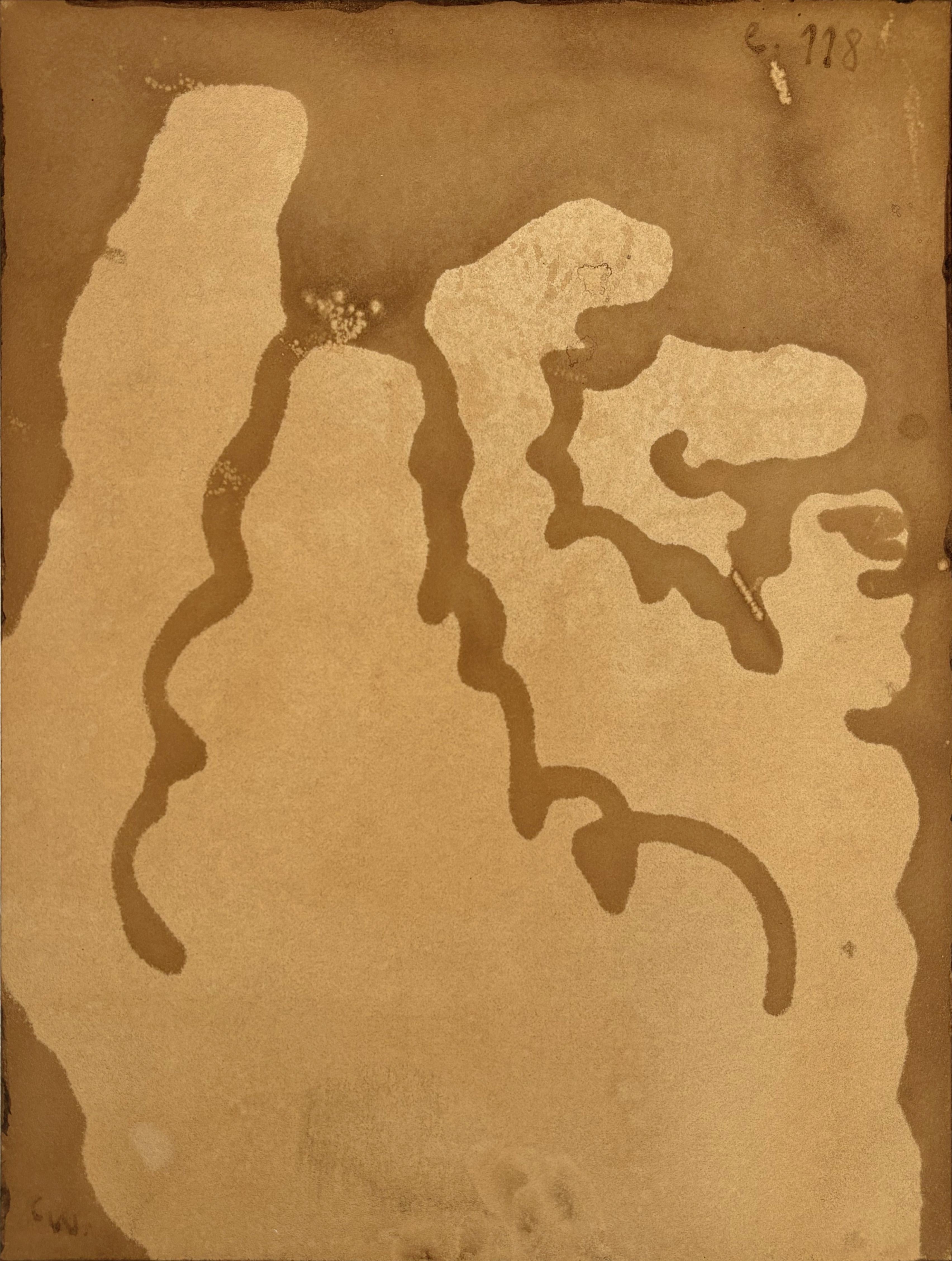 Kaffee auf Papier, gerahmte Zeichnung einer Hand, 2025 - 'Ego 118'. (Grau), Figurative Painting, von Chidy Wayne