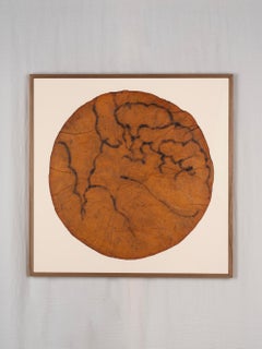 Ego 169 - Chidy Wayne, Coffee and ink on bacterial cellulose , 79x79 cm