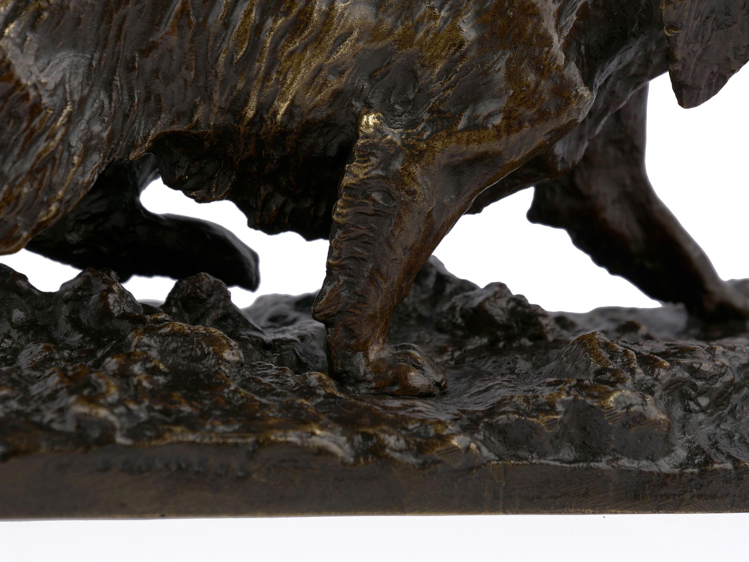 “Chien Epagneul Francais” Bronze Sculpture by Christophe Fratin 3
