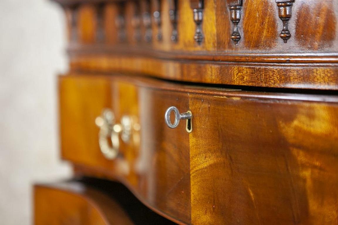 Chiffonier / Dresser from the Mid-19th Century Finished with Shellac For Sale 3
