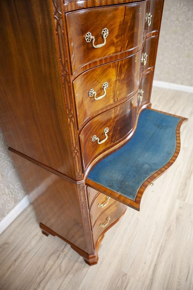 Chiffonier / Dresser from the Mid-19th Century Finished with Shellac For Sale 1