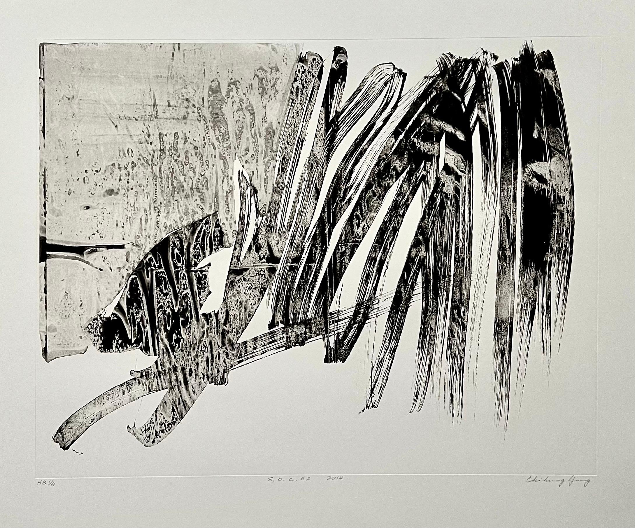 S.O.C. #2
2014
Gravure à l'eau-forte
76.5 x 91cm

Yang Chihung (chinois : 楊識宏 ; pinyin : Yang Chihung ; né en 1947) artiste taïwanais-américain.
Yang Chi-hung est né le 25 octobre 1947, à Chungli, à Taiwan. Il s'est intéressé à l'art dès son enfance