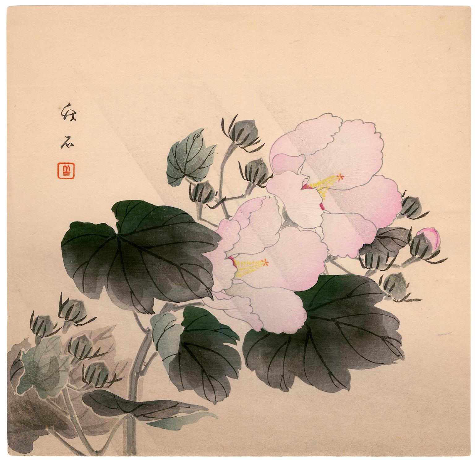 Chikuseki Nagamachi Still-Life Print - 'China Rose' — Japanese Woodblock print, c. 1900
