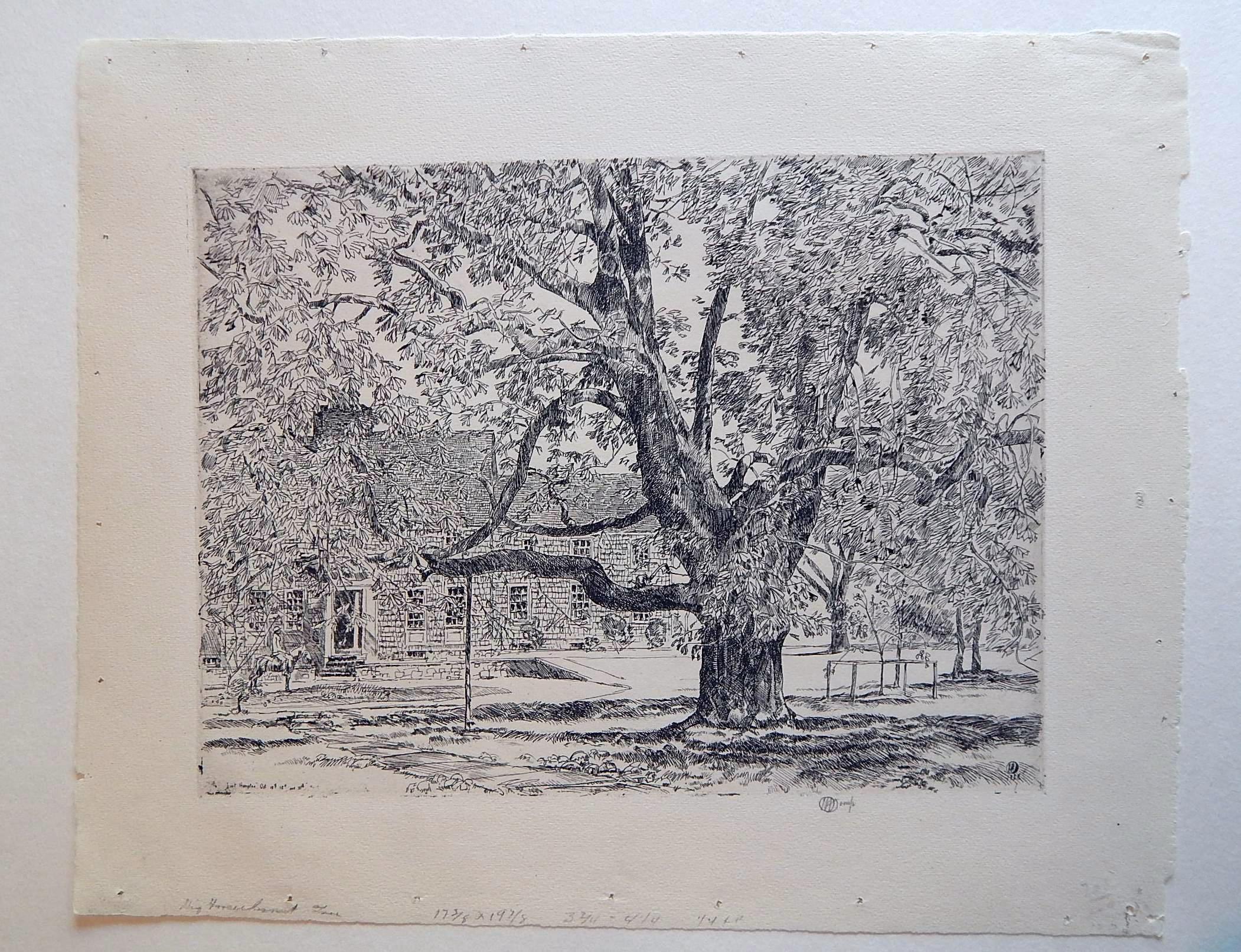 Original Etching by Childe Hassam (1859 - 1939). Created 1928.
Title: The Big Horse Chestnut Tree
Signed with the cypher and inscribed “imp” in pencil in the margin lower right.
Also signed, dated and titled in the plate. Pencil title lower left.