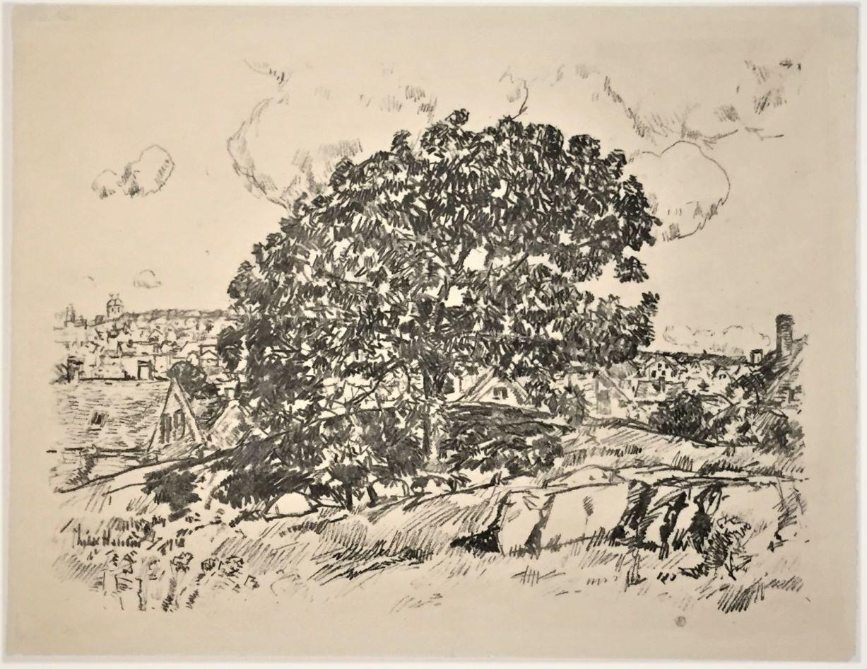 The Oak (Gloucester) - Print by Childe Hassam