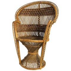 Retro Childs Wicker Emanuel Peacock Chair