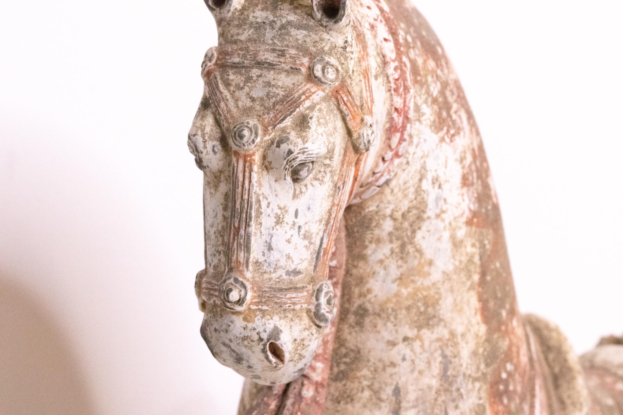 China 549-577 AD Nördliche Qi Dynasty Antikes Pferd mit Kopfbedeckung aus Steingut im Zustand „Hervorragend“ im Angebot in Miami, FL
