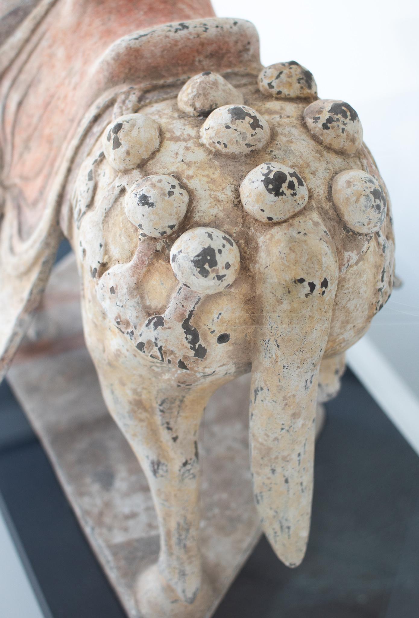 China 549-577 nördlich der Qi-Dynastie Antikes Caparisoned-Pferd aus Steingut im Zustand „Hervorragend“ im Angebot in Miami, FL