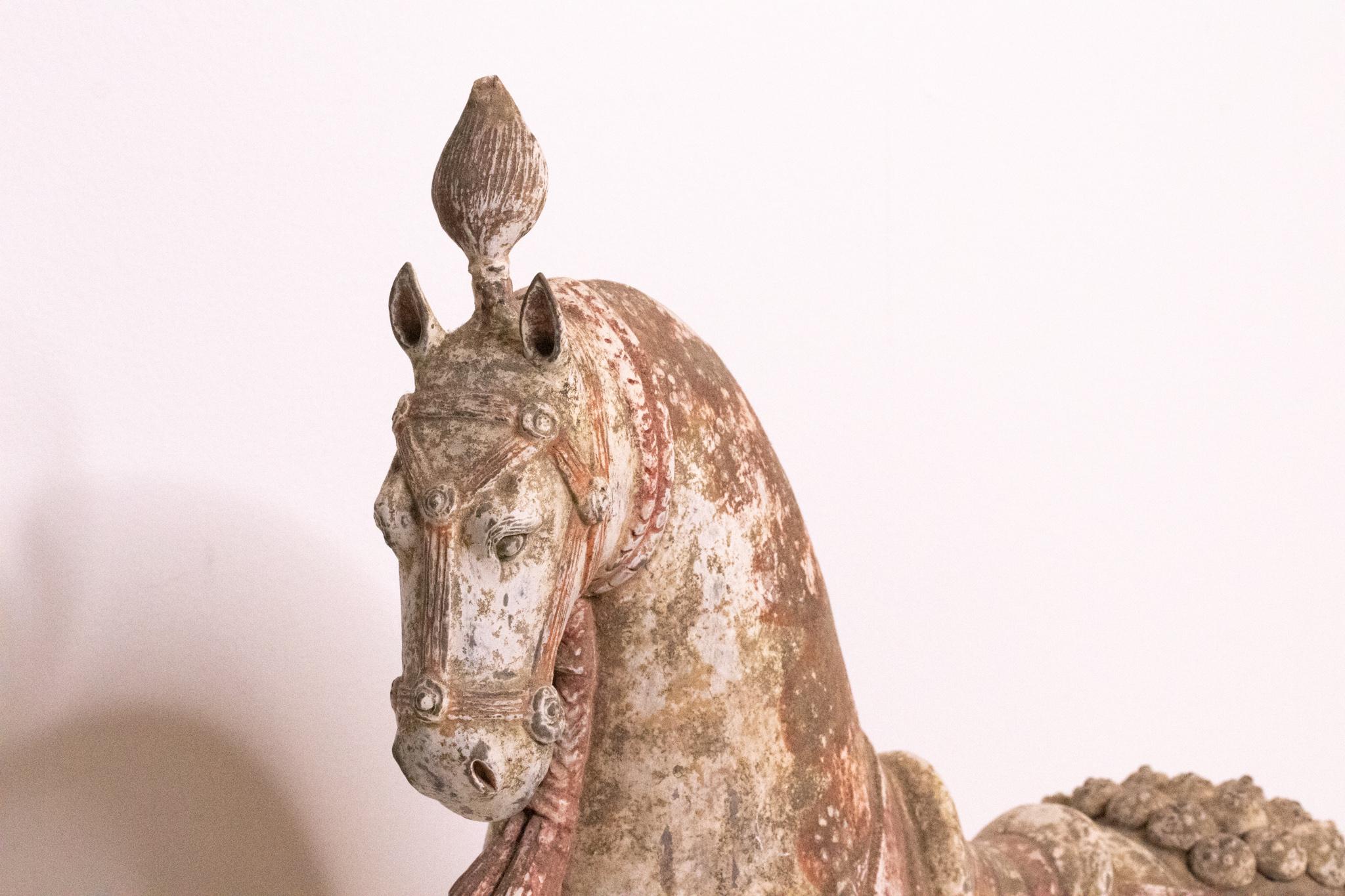 China 549-577 AD Nördliche Qi Dynasty Antikes Pferd mit Kopfbedeckung aus Steingut im Angebot 1