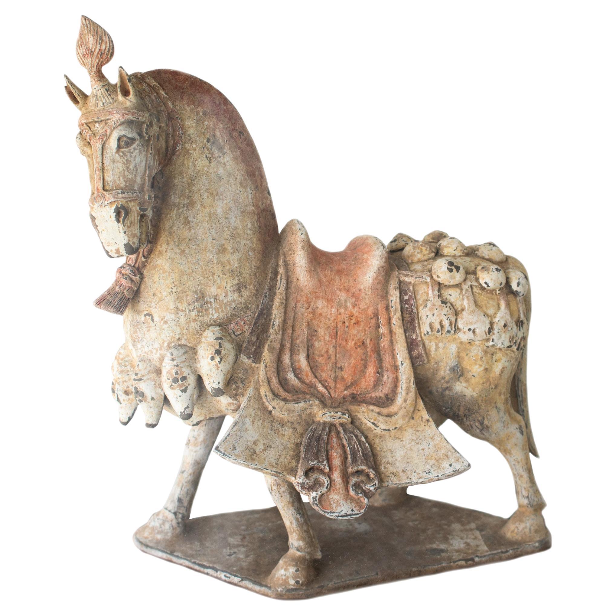 China 549-577 AD Northern Qi Dynasty Ancient Caparisoned Horse In Earthenware For Sale