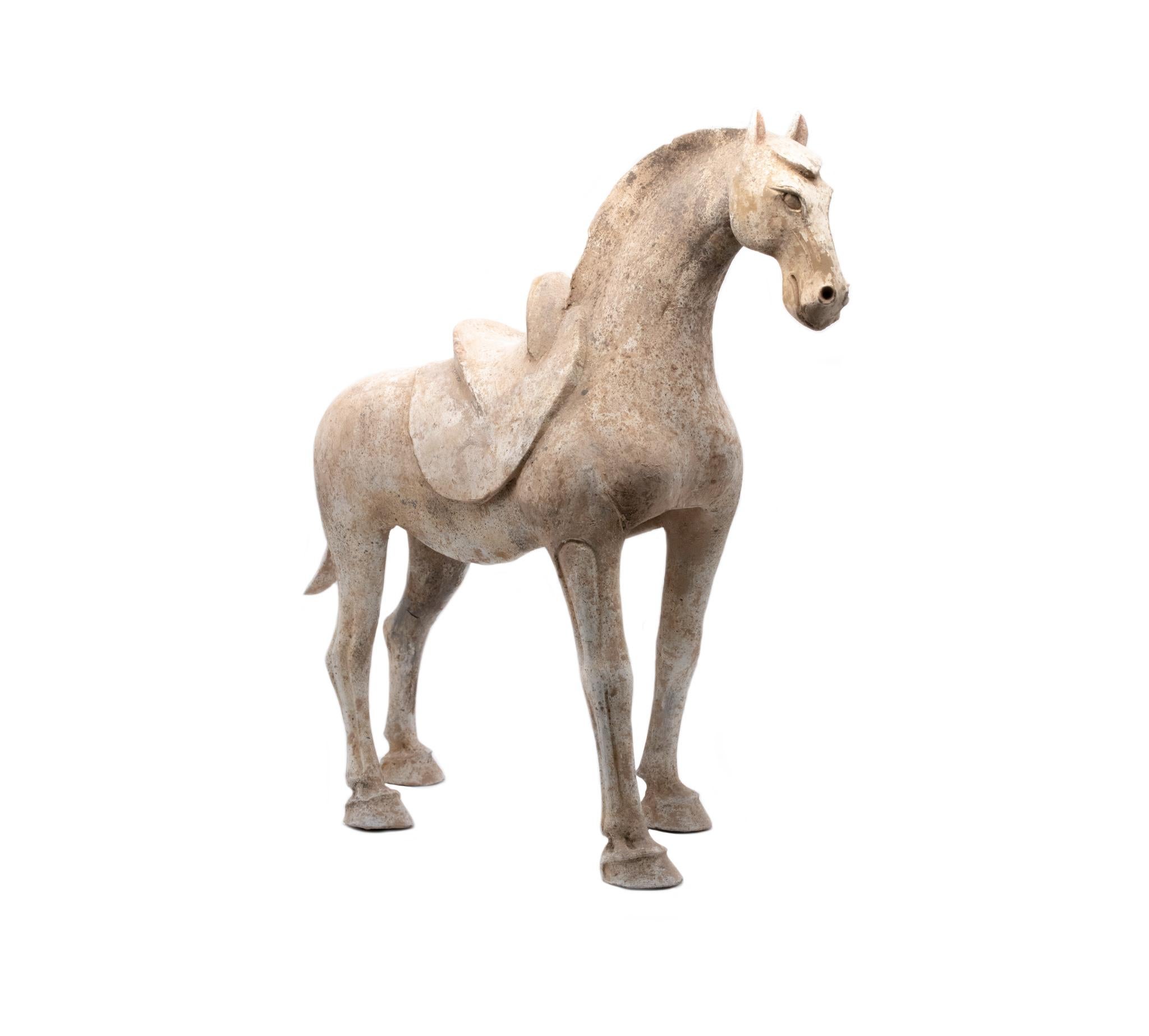 Stehendes Pferd aus der Tang-Dynastie 618-907 AD.

Wunderschönes skulpturales Kunstwerk aus der alten chinesischen Periode der Tang-Dynastie (618-907 n. Chr.) mit der fein skulpturalen Figur eines Pferdes, die sorgfältig aus Tonkeramik hergestellt