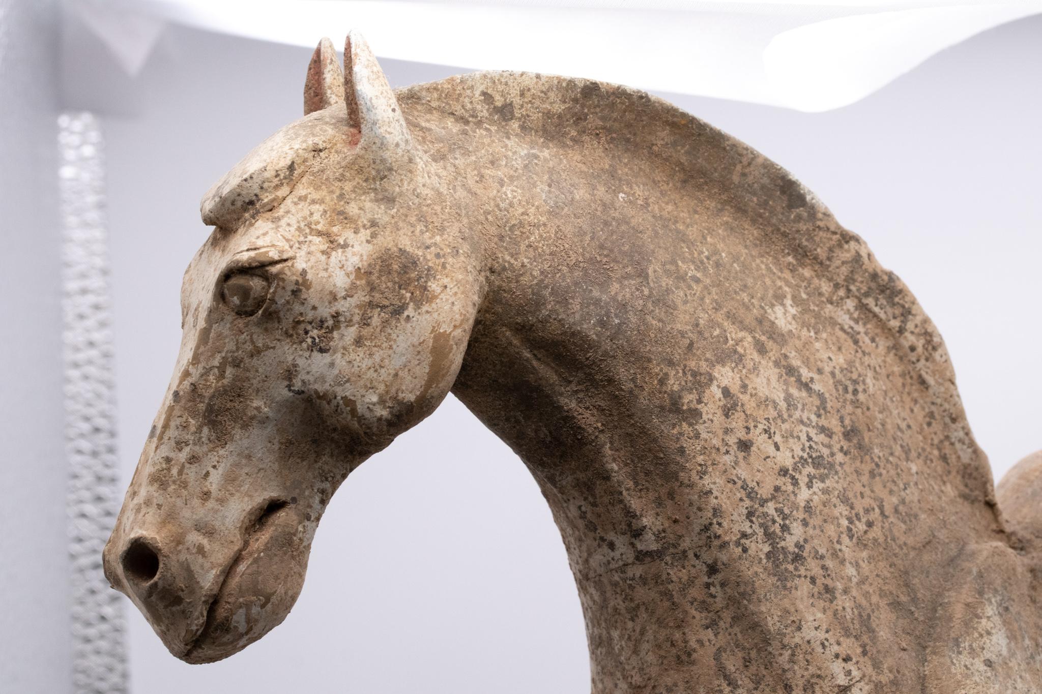 China 618-907 Ad Tang Dynasty Ancient Earthenware Sculpture of a Walking Horse For Sale 2