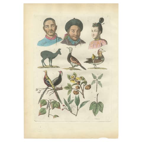 China Figures, Fauna & Flora – Hand-Colored Antique Print, Ferrario, Italy 1815