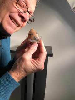 China Fine Old Snuff Bottle Jumping Fish & Lily