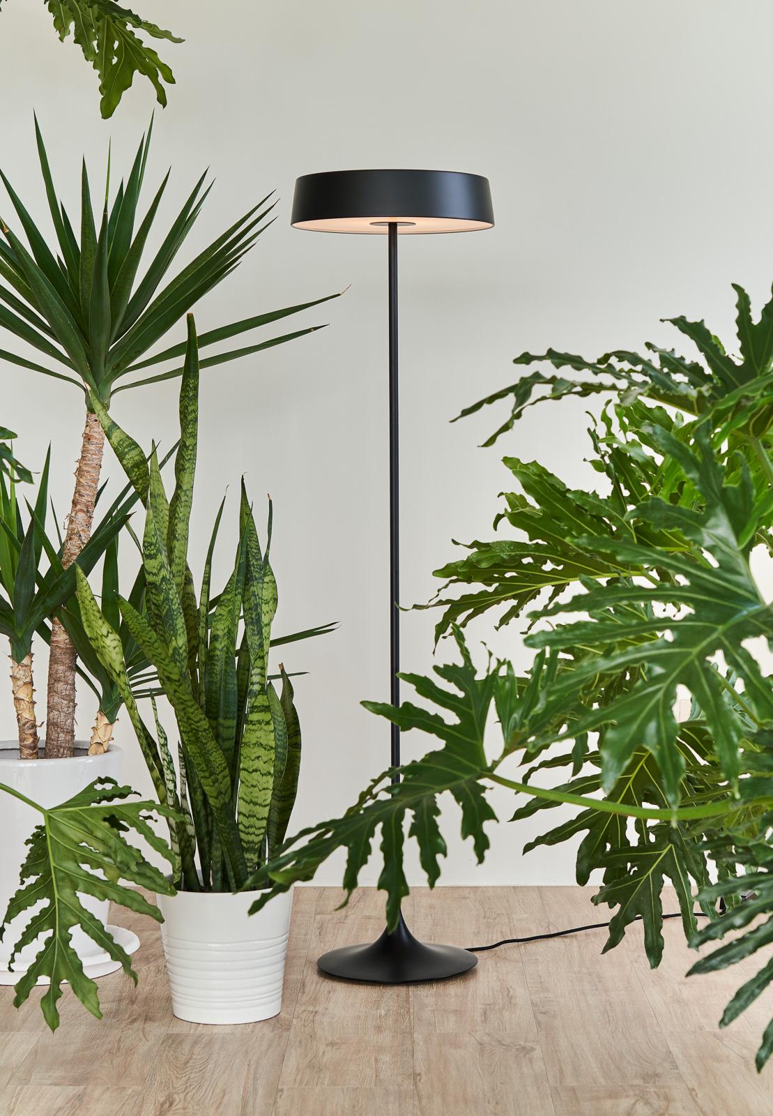 China LED-Stehleuchte im Angebot 1