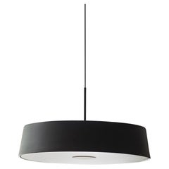 CHINA LED Pendant