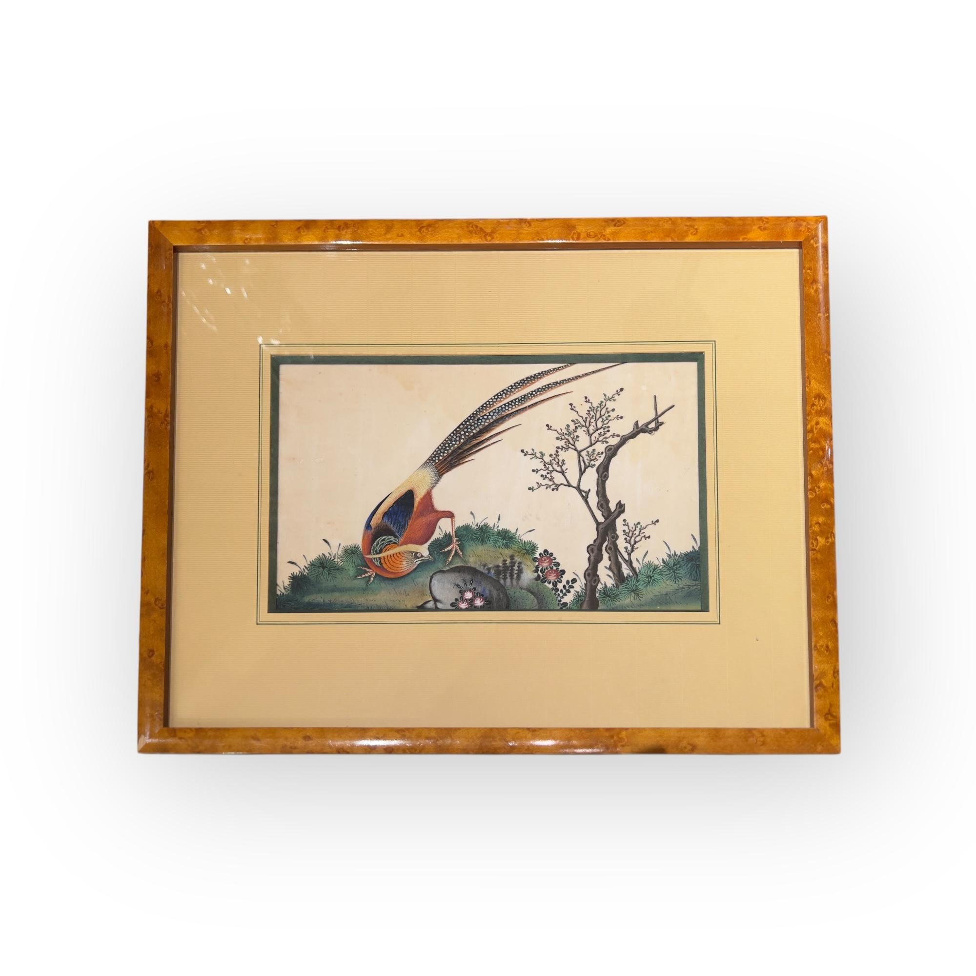 China, Set of Six Chinese Export Birds Paintings on Pith Paper, 19th Century In Good Condition For Sale In PARIS, FR