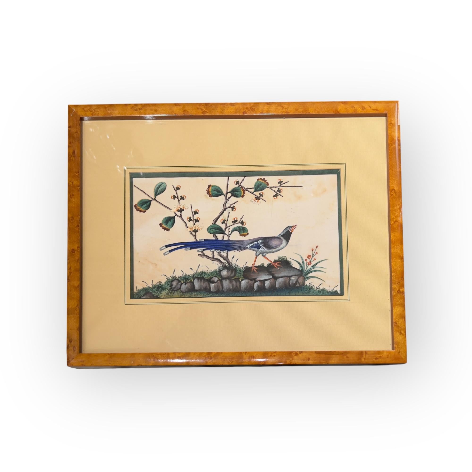 China, Set of Six Chinese Export Birds Paintings on Pith Paper, 19th Century For Sale 3