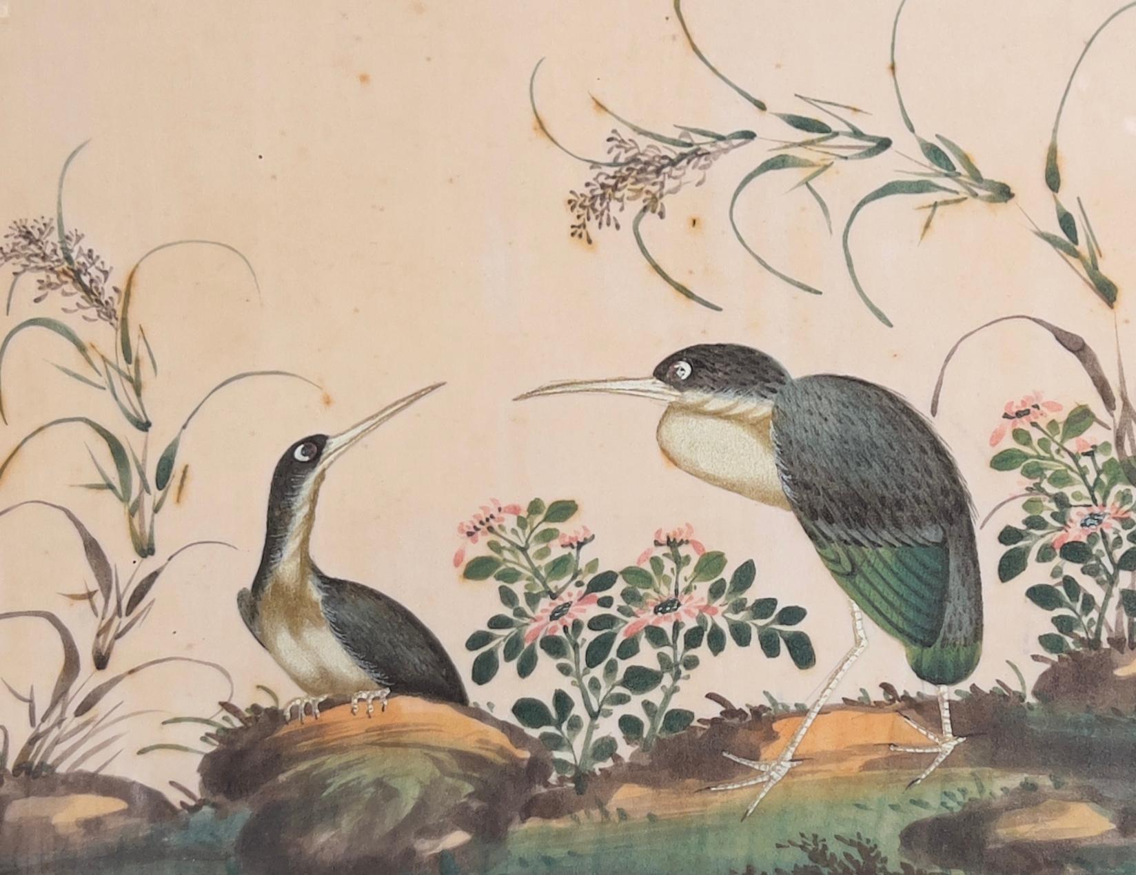 China, Set of Six Chinese Export Birds Paintings on Pith Paper, 19th Century For Sale 5