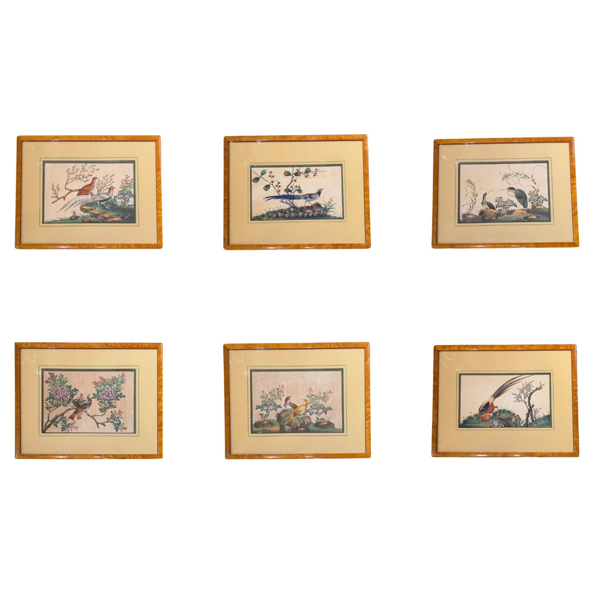 China, Set of Six Chinese Export Birds Paintings on Pith Paper, 19th Century