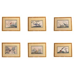 China, Set of Six Chinese Export Birds Paintings on Pith Paper, 19th Century