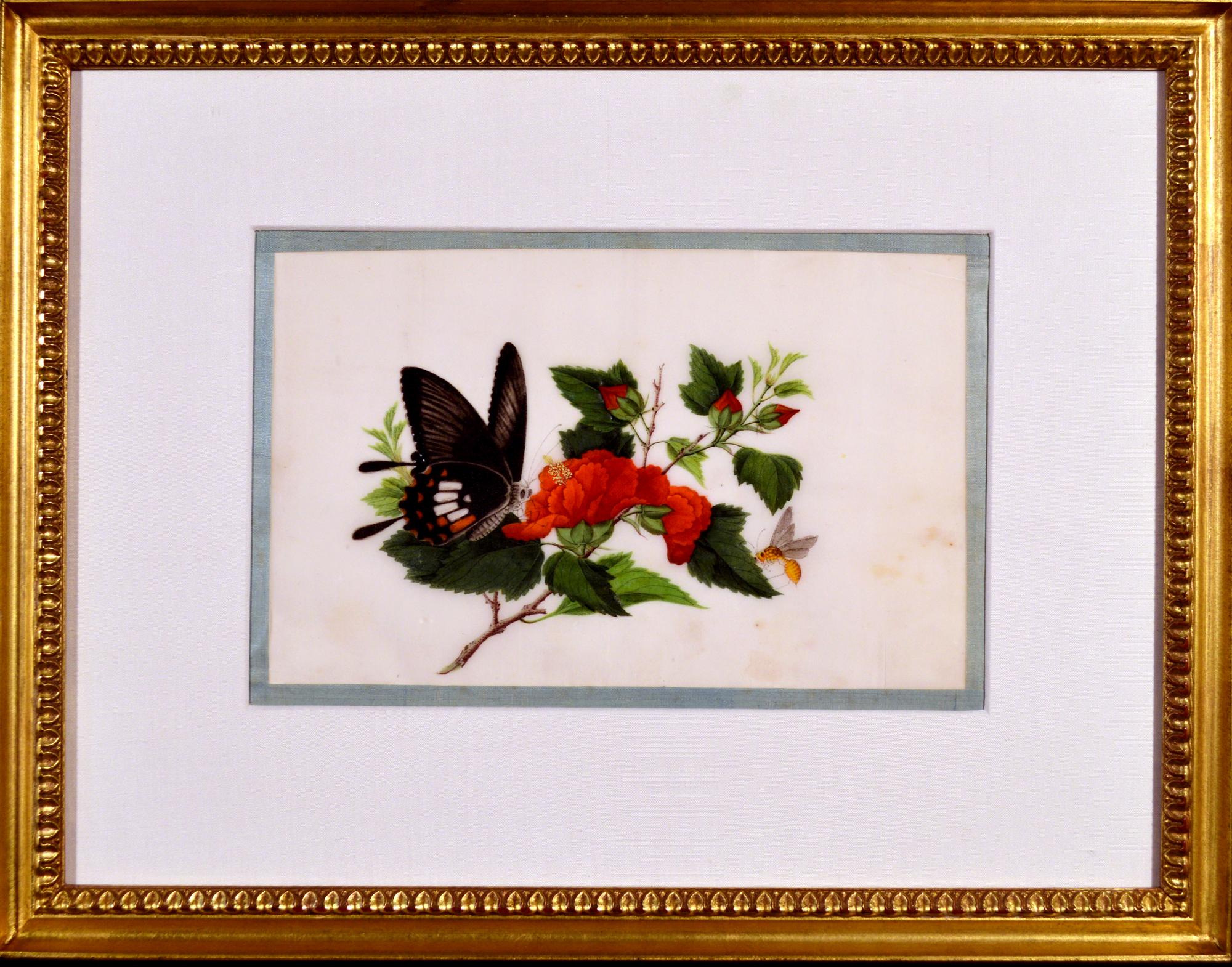 China Trade Framed Pith Paper Set of Pictures of Butterflies and Plants For Sale 4
