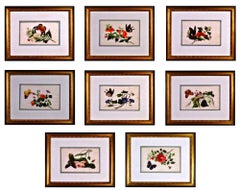 China Trade Framed Pith Paper Set of Pictures of Butterflies and Plants