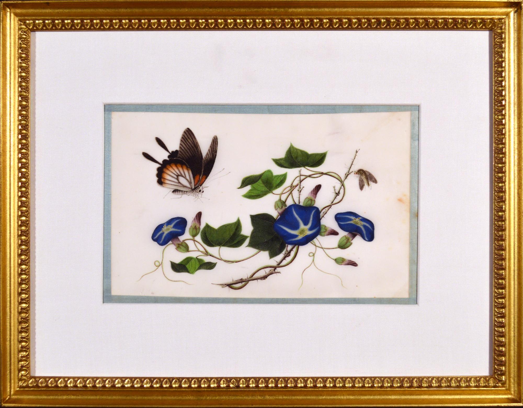 China Trade Framed Pith Paper Set of Pictures of Butterflies and Plants For Sale 2