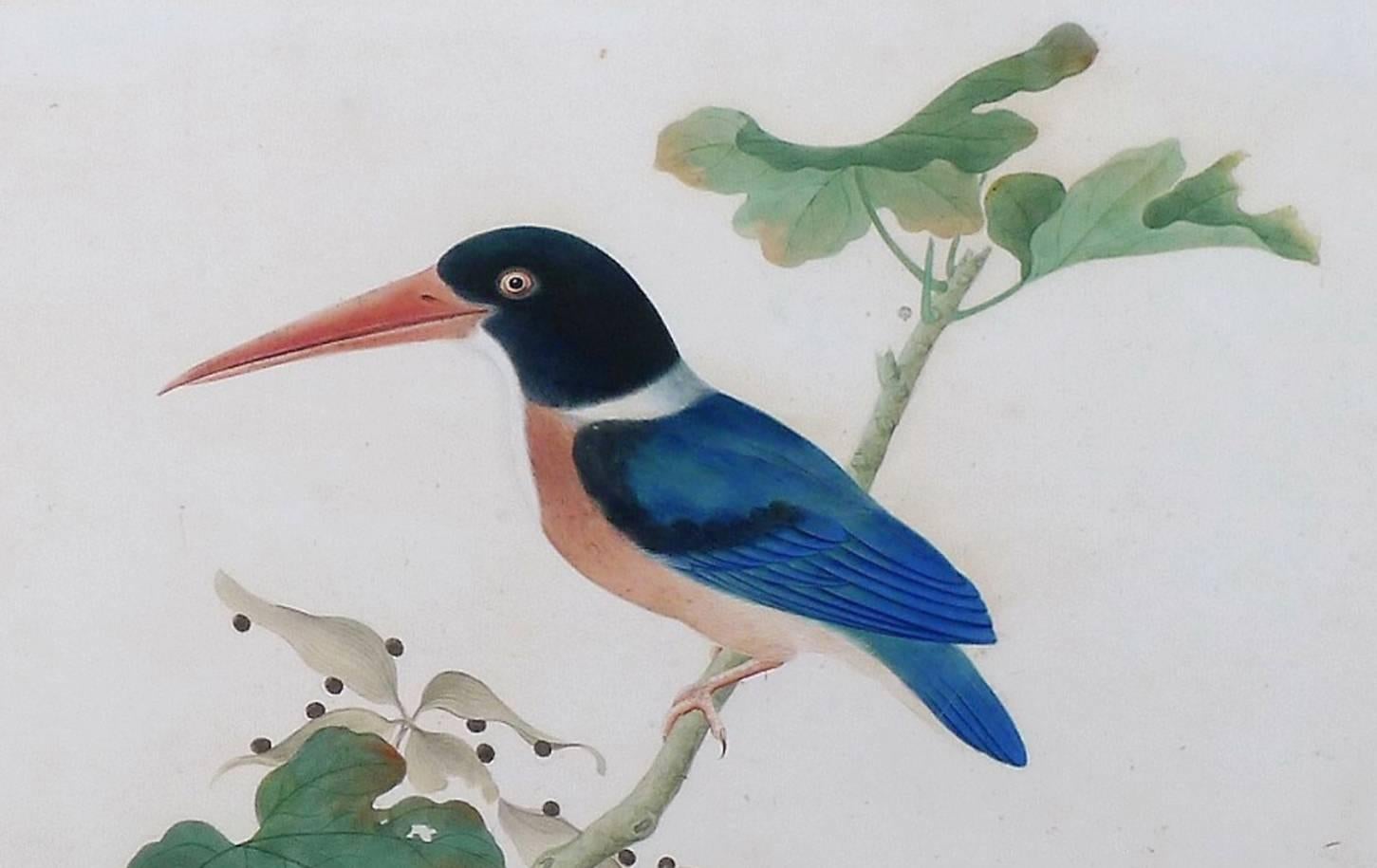 China trade large watercolor painting of a bird, 
Kingfisher,
circa 1800-1820.

Superb large China Trade watercolor painting of a large Kingfisher on a branch on European paper within modern decoupage frame.

Dimensions: 20 1/2 inches x 23 1.2