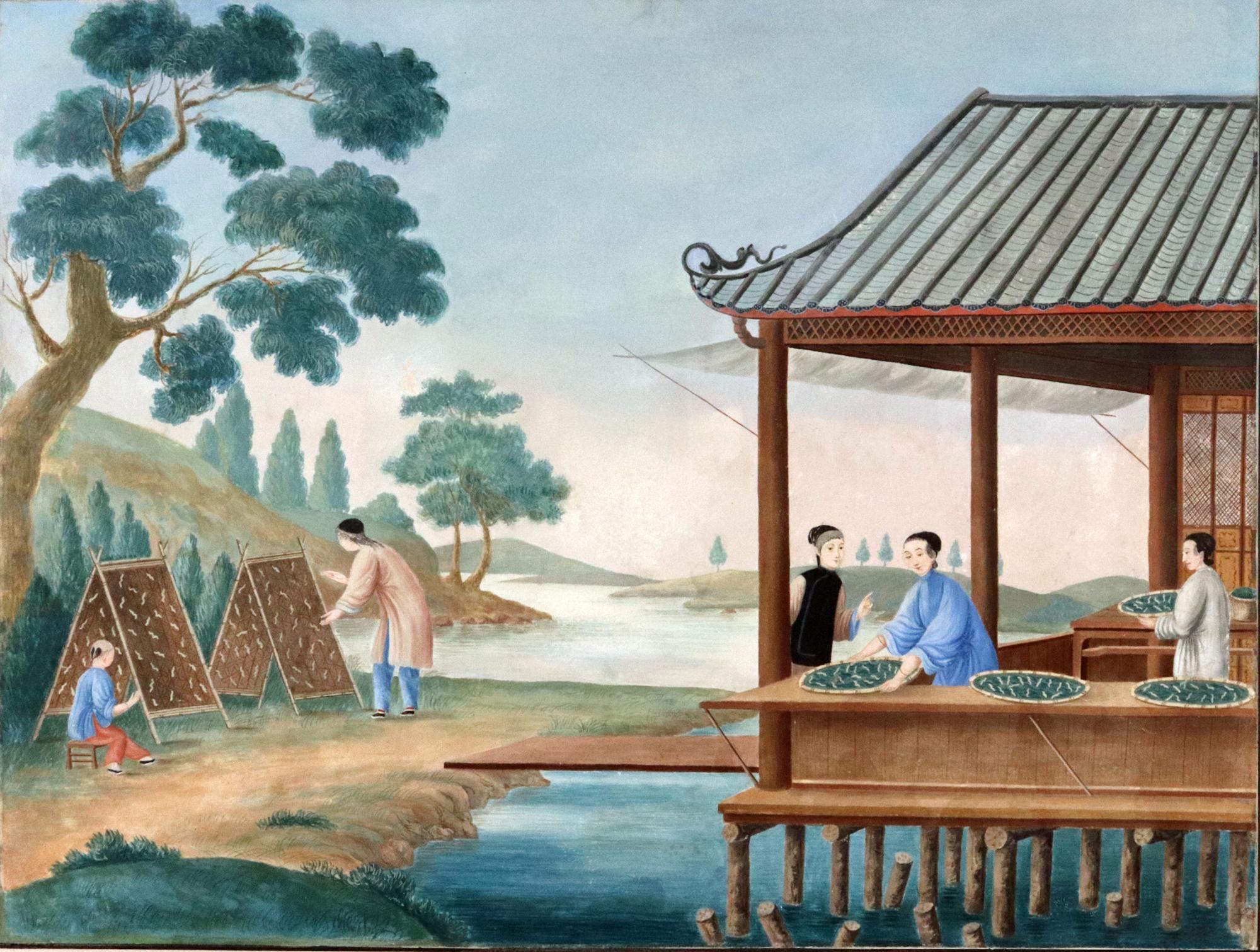 Chinese Export China Trade Painting on Paper depicting Feeding of Silkworms For Sale