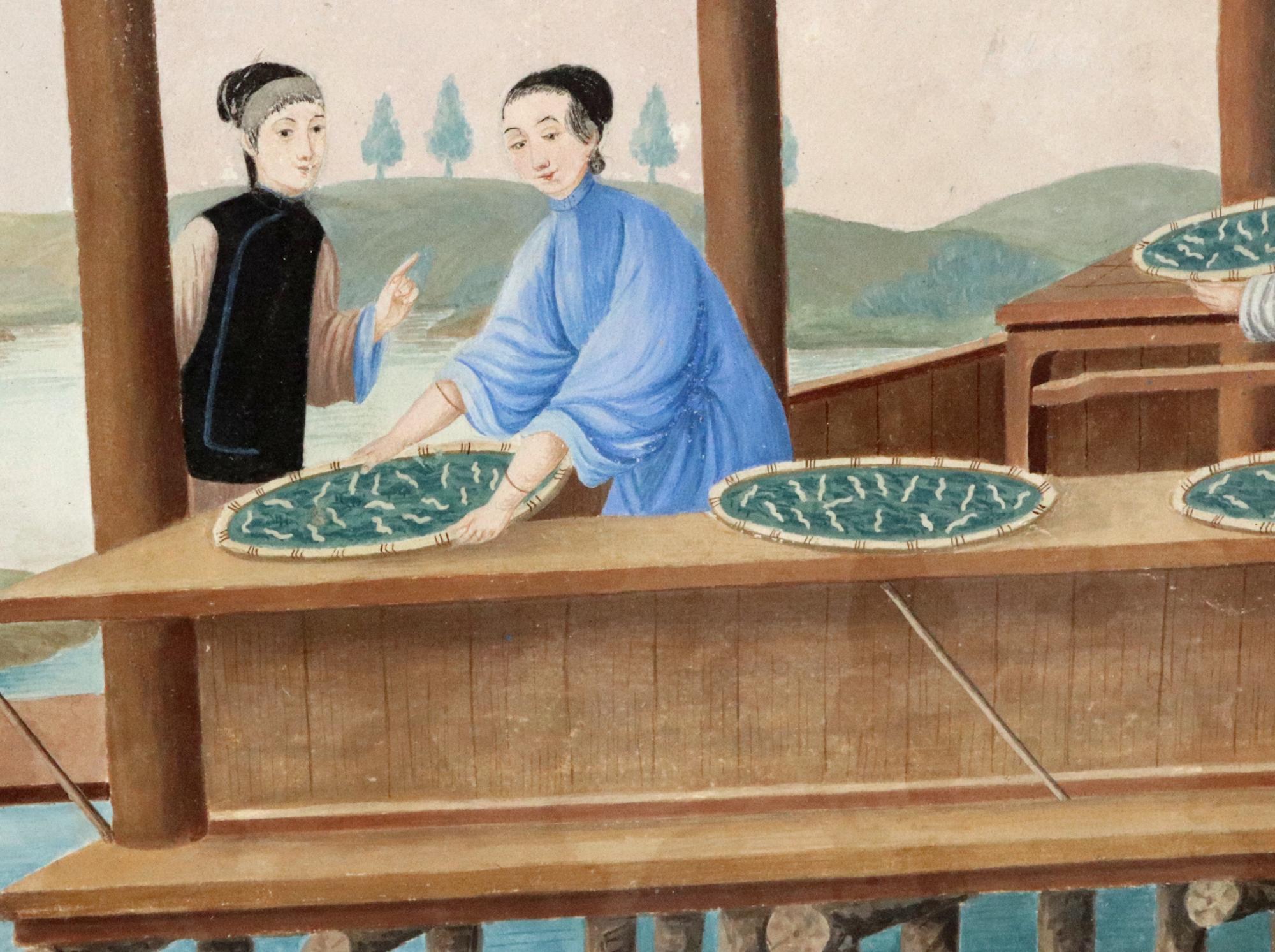 Chinese China Trade Painting on Paper depicting Feeding of Silkworms For Sale