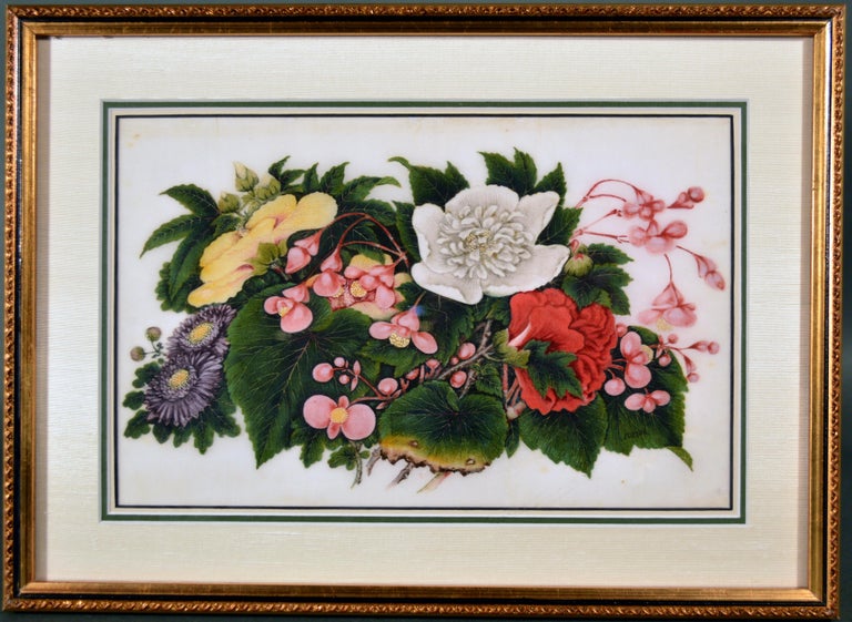 Chinese Export China Trade Set of Six Gouache Still Life of Fruit & Flowers on Pith Paper For Sale