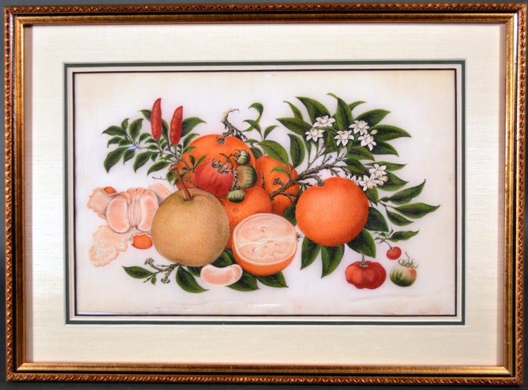 China Trade Set of Six Gouache Still Life of Fruit & Flowers on Pith Paper In Good Condition For Sale In Downingtown, PA