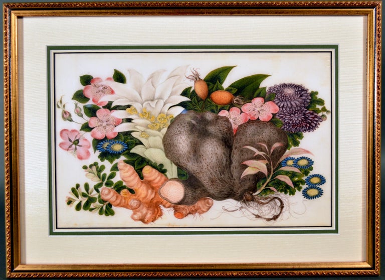 19th Century China Trade Set of Six Gouache Still Life of Fruit & Flowers on Pith Paper For Sale