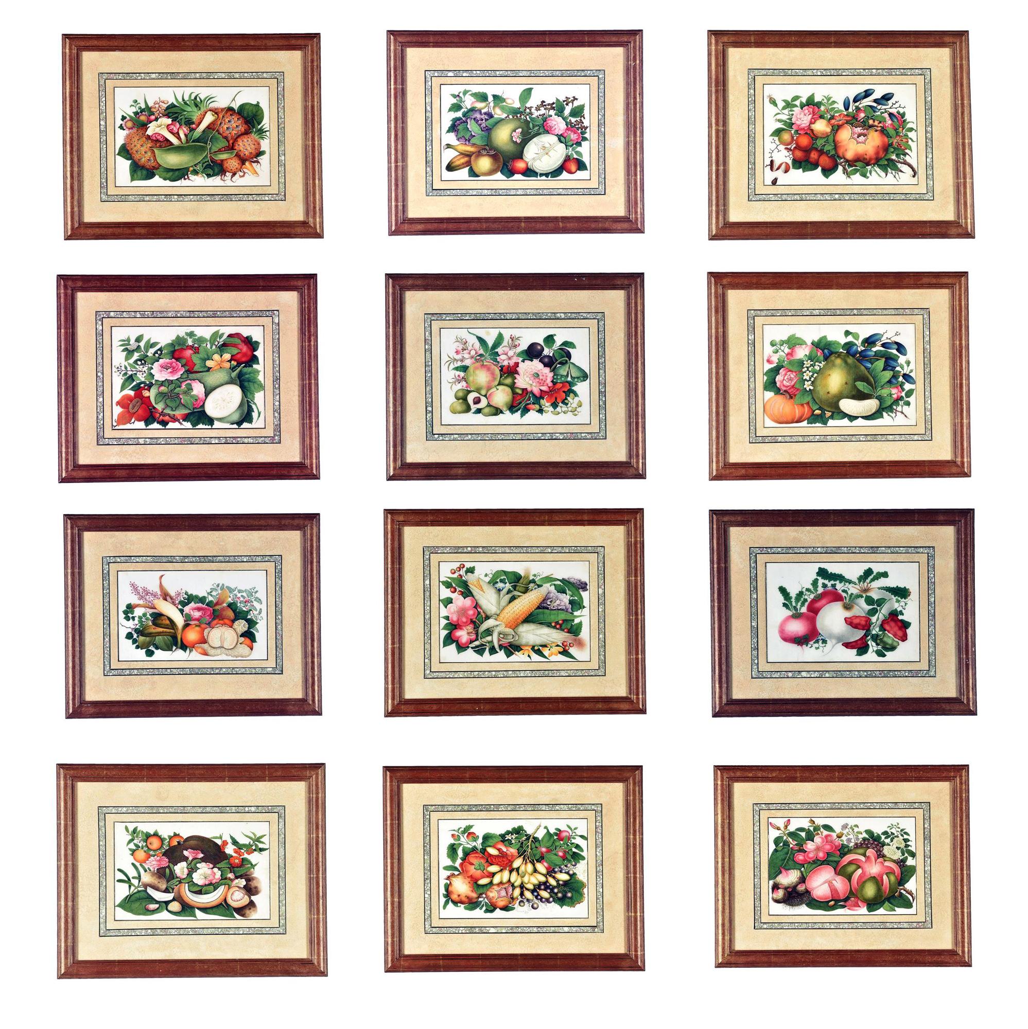Une peinture de très grande qualité !

Chine Commerce Aquarelle et gouache sur papier à moelle,
 Ensemble de douze peintures de fruits et de fleurs,
Circa 1850-1860

L'ensemble de douze natures mortes à l'aquarelle du commerce chinois, toutes