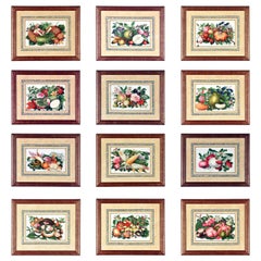 China Trade Watercolor & Gouache Set of Twelve Paintings of Fruit & Flowers